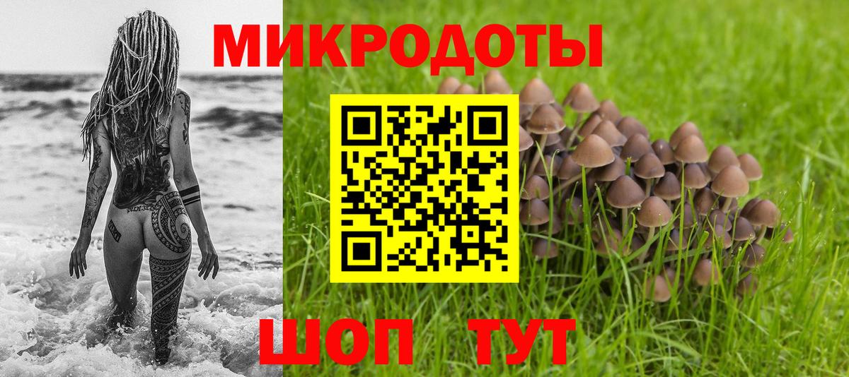 Псилоцибиновые грибы Cubensis  Вход с VPN  Тельмана 