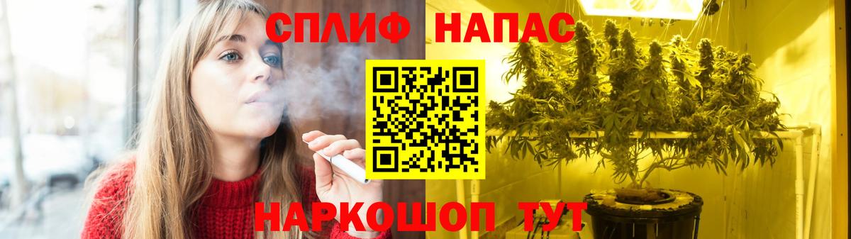 Канабис сатива  Канабис конопля  Тельмана  Вход с VPN 
